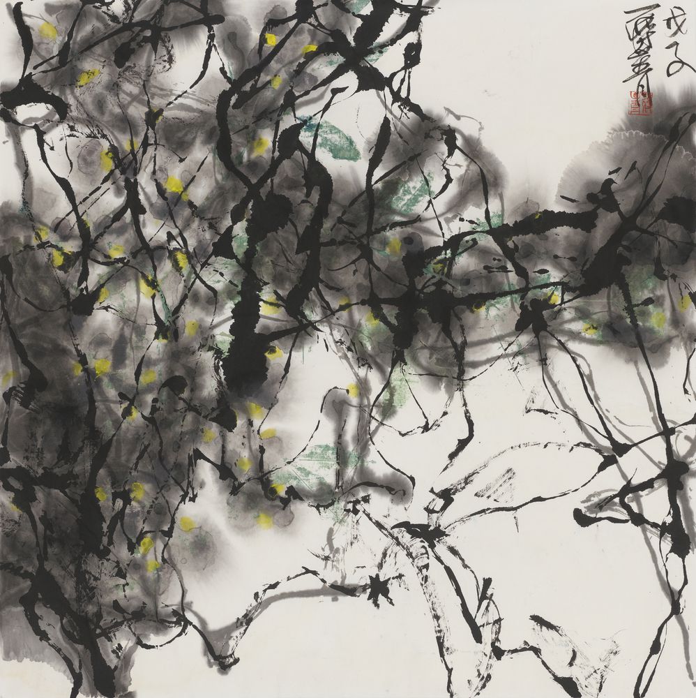 缟仙