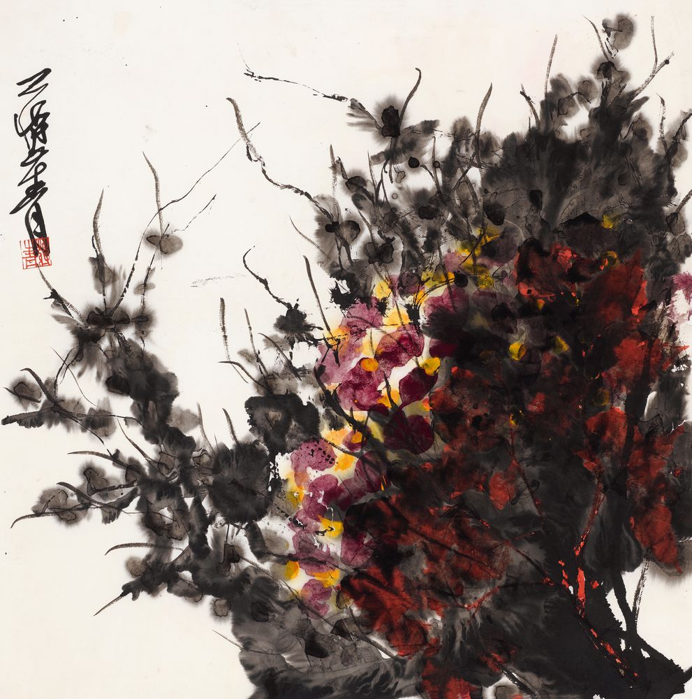龙绡