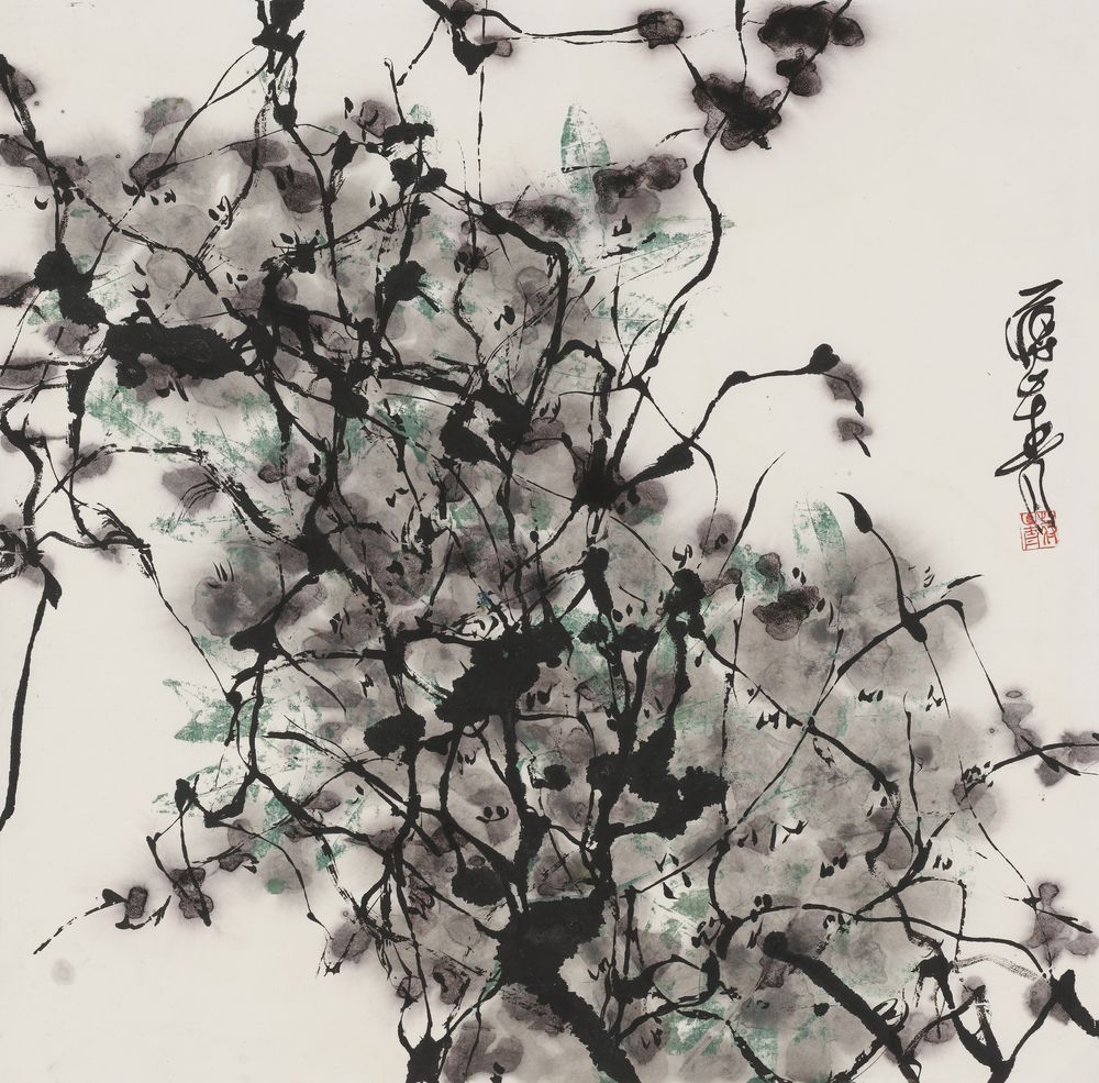 蕙带