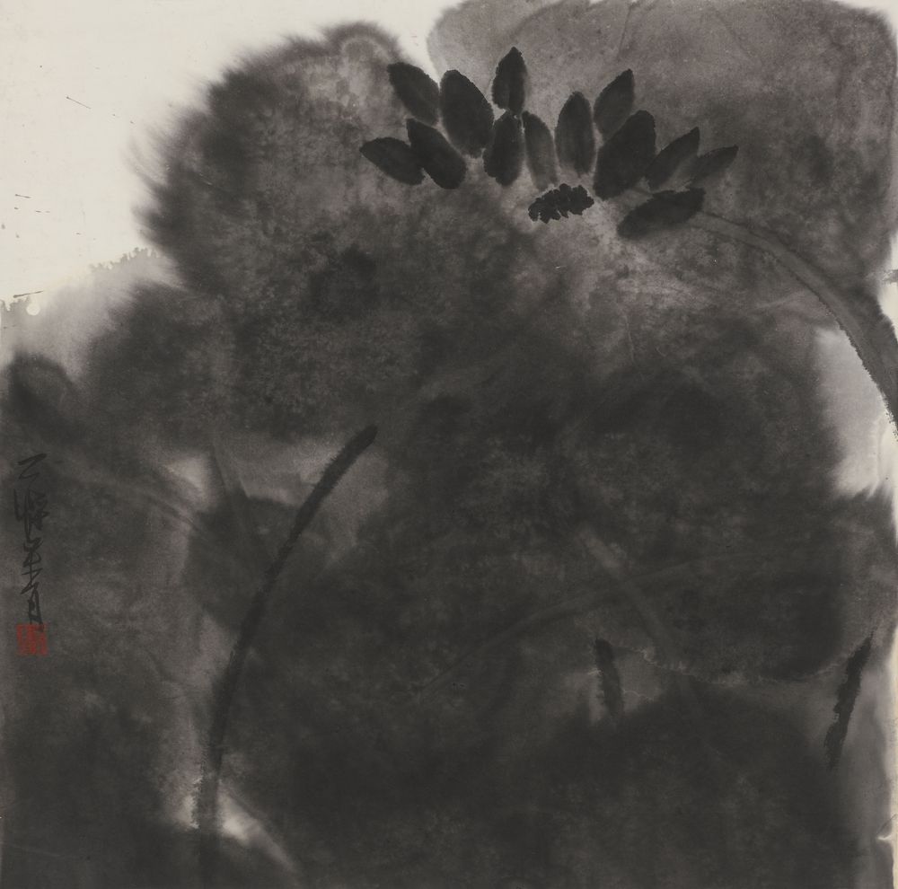 芙蕖