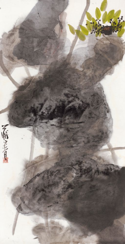 青衫栀拾