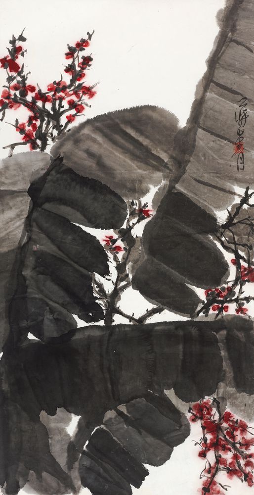 绿了芭蕉