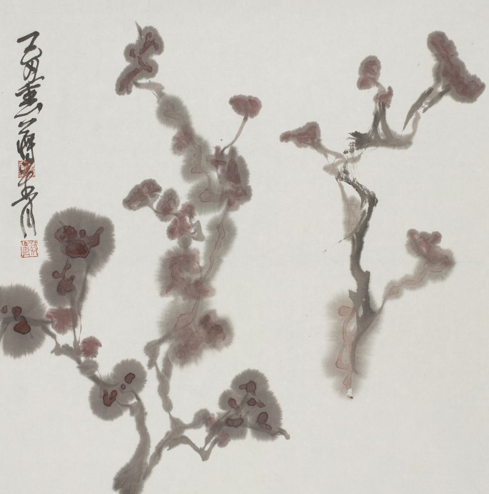 檀雅