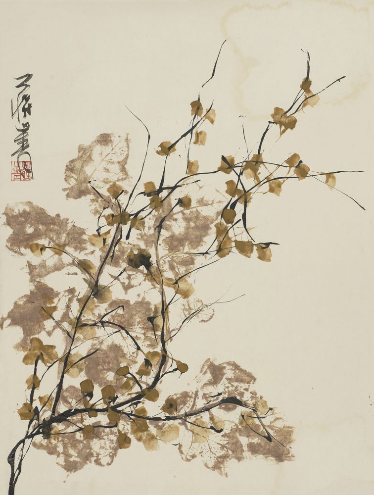 秋澄