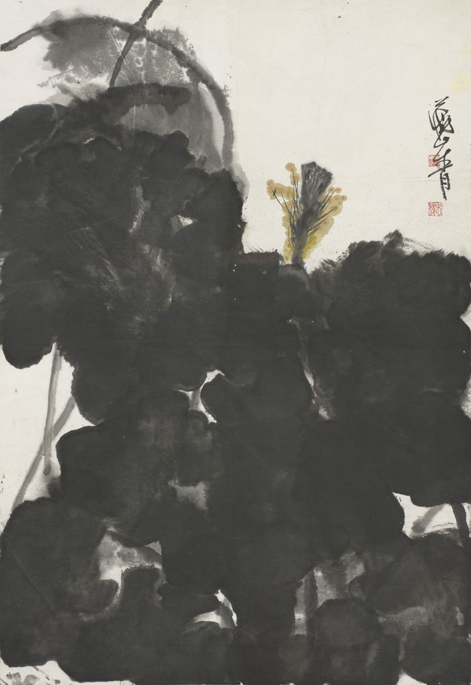 涵露