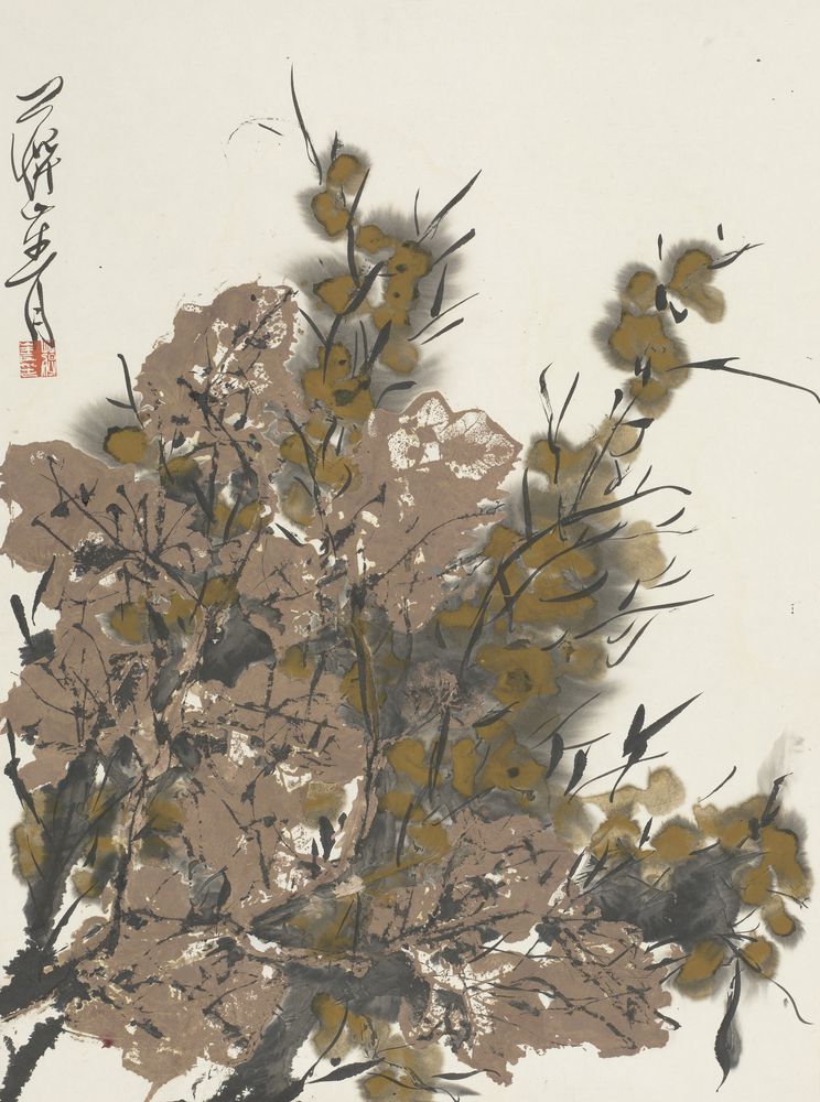 野风