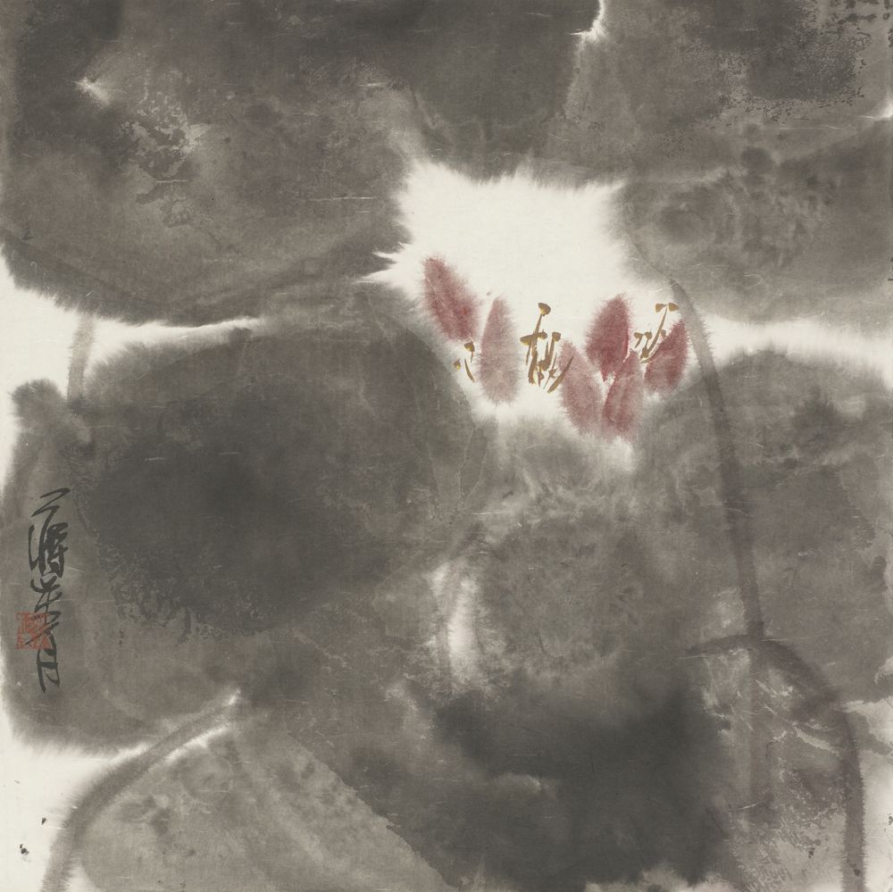澹荡