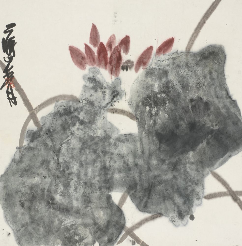 片红