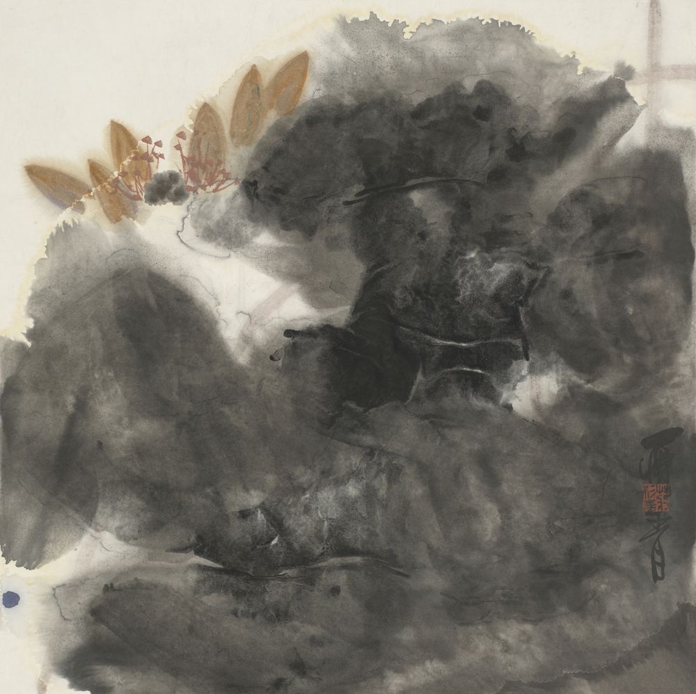 纤纤
