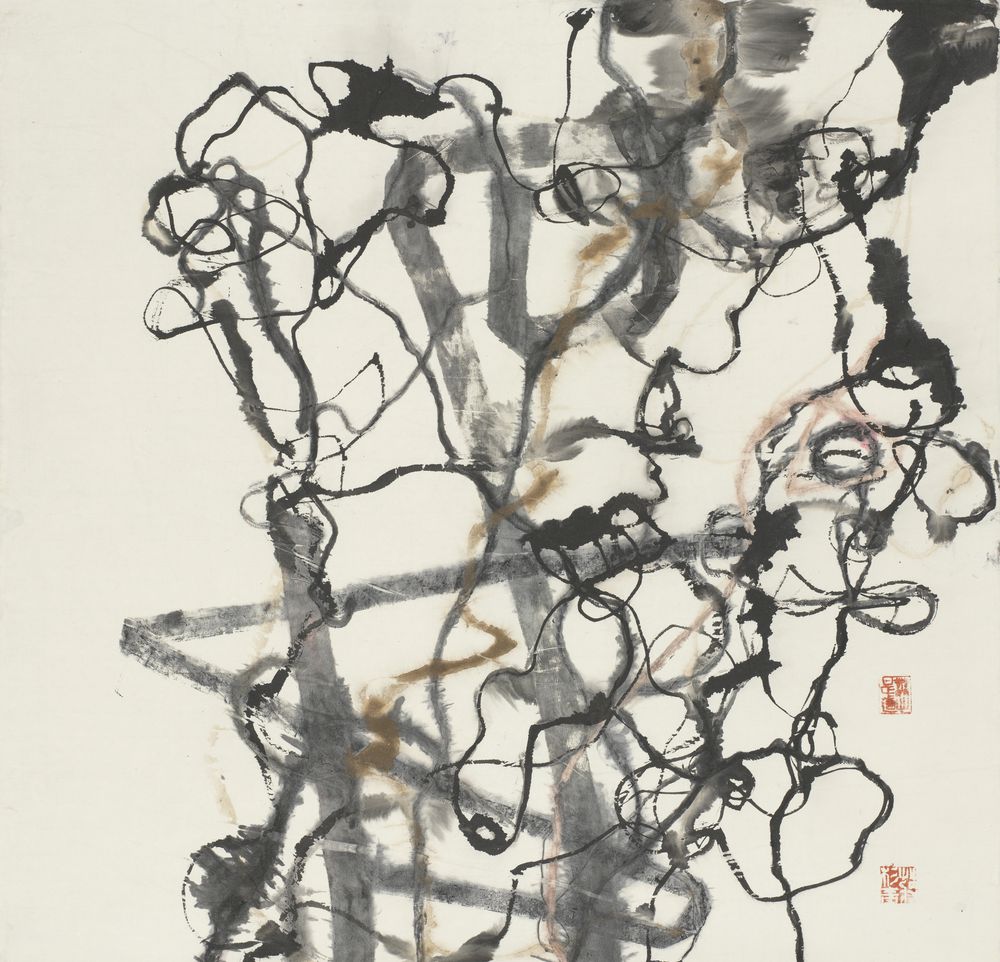 菁藻