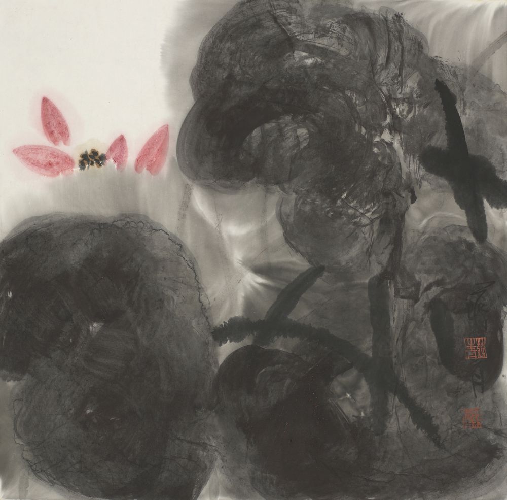 天羽