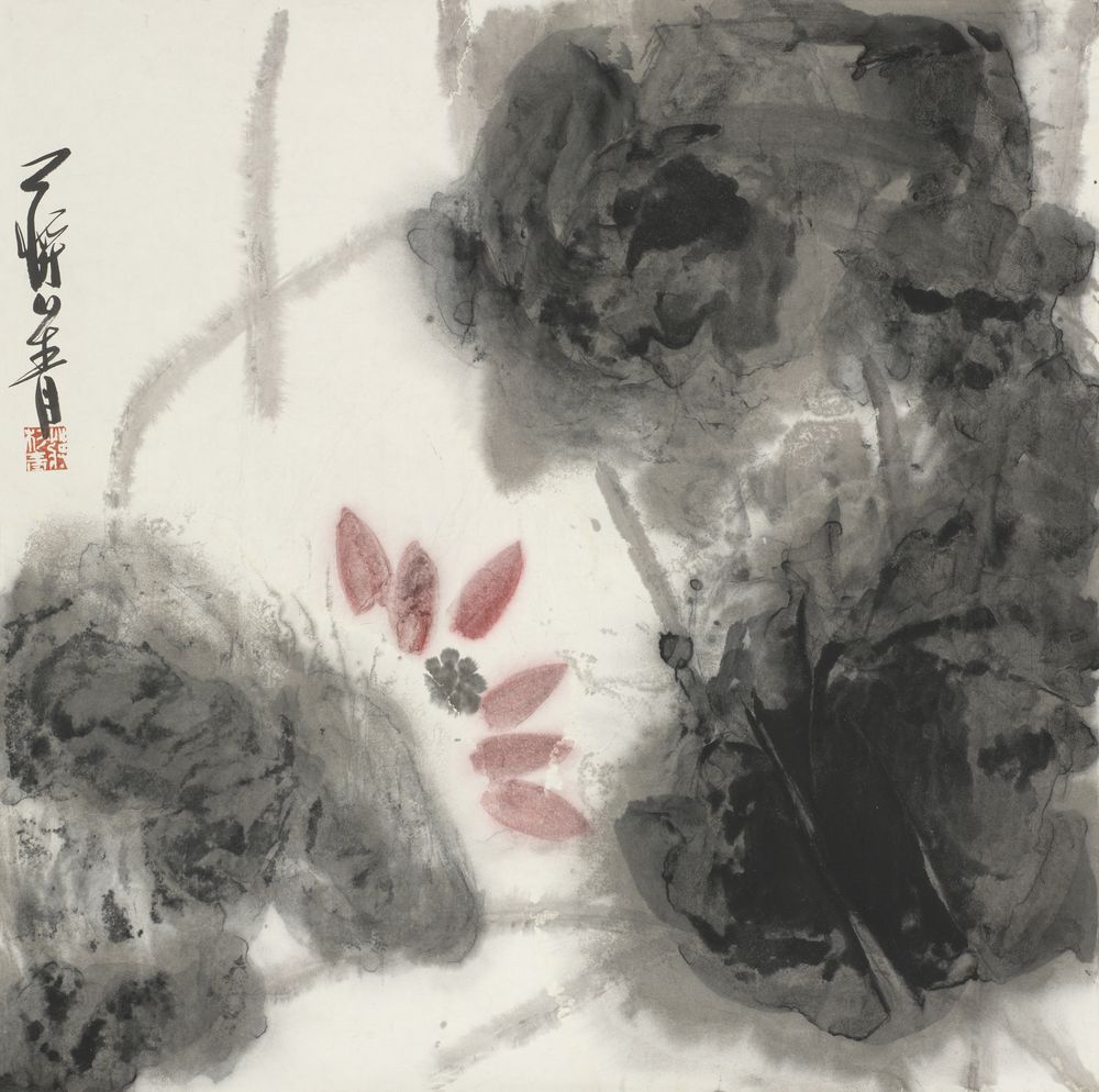 菡萏