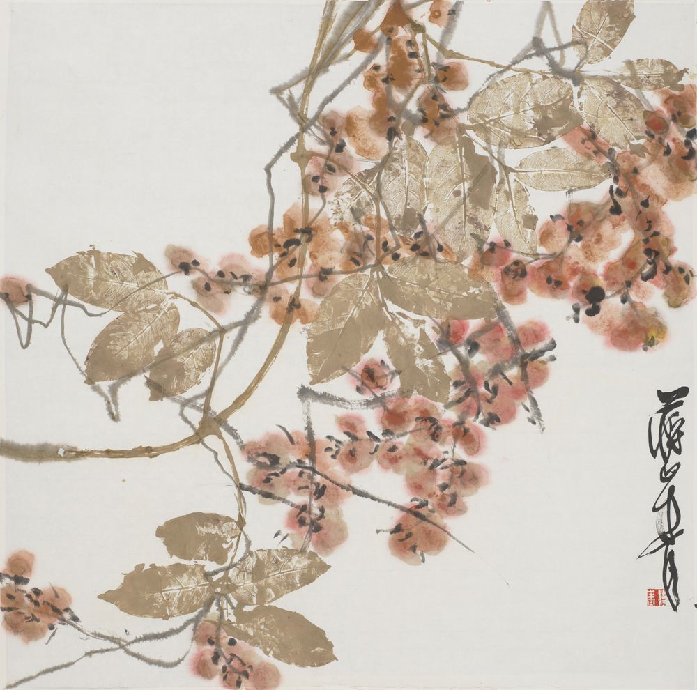 菡英