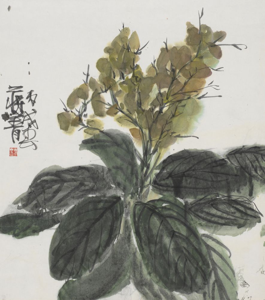 绿春