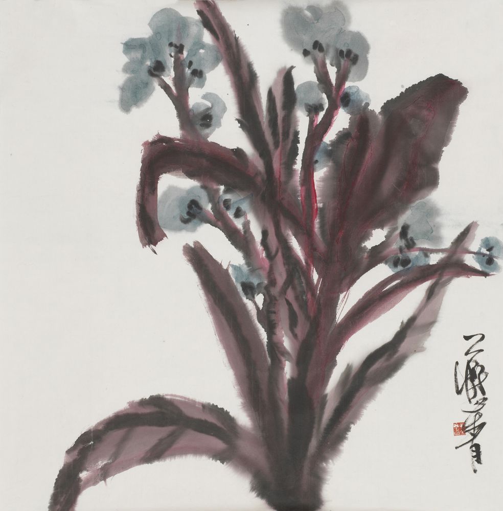 雅阳