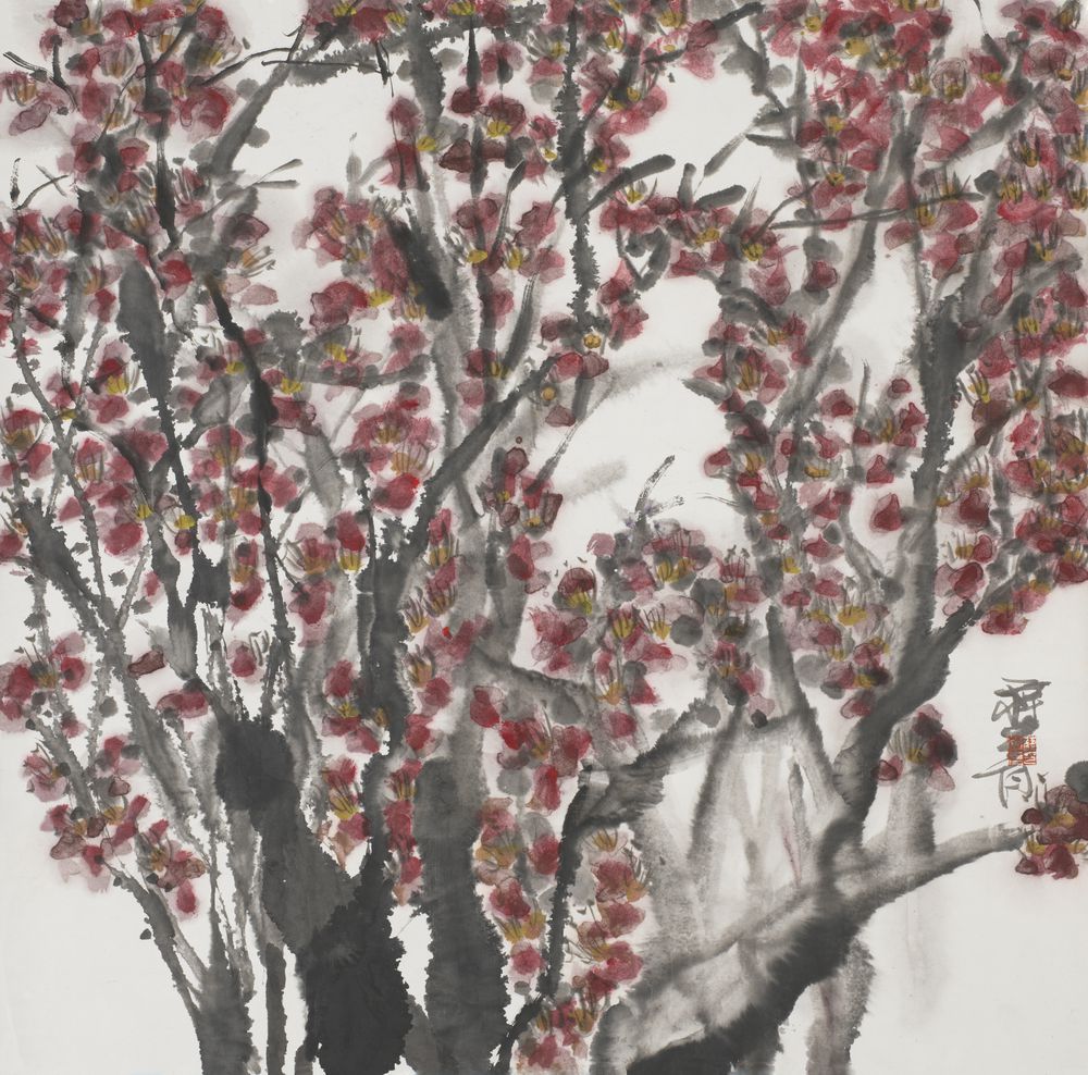 寻春