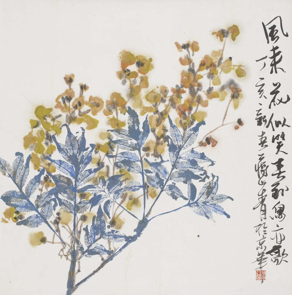 风来花似笑