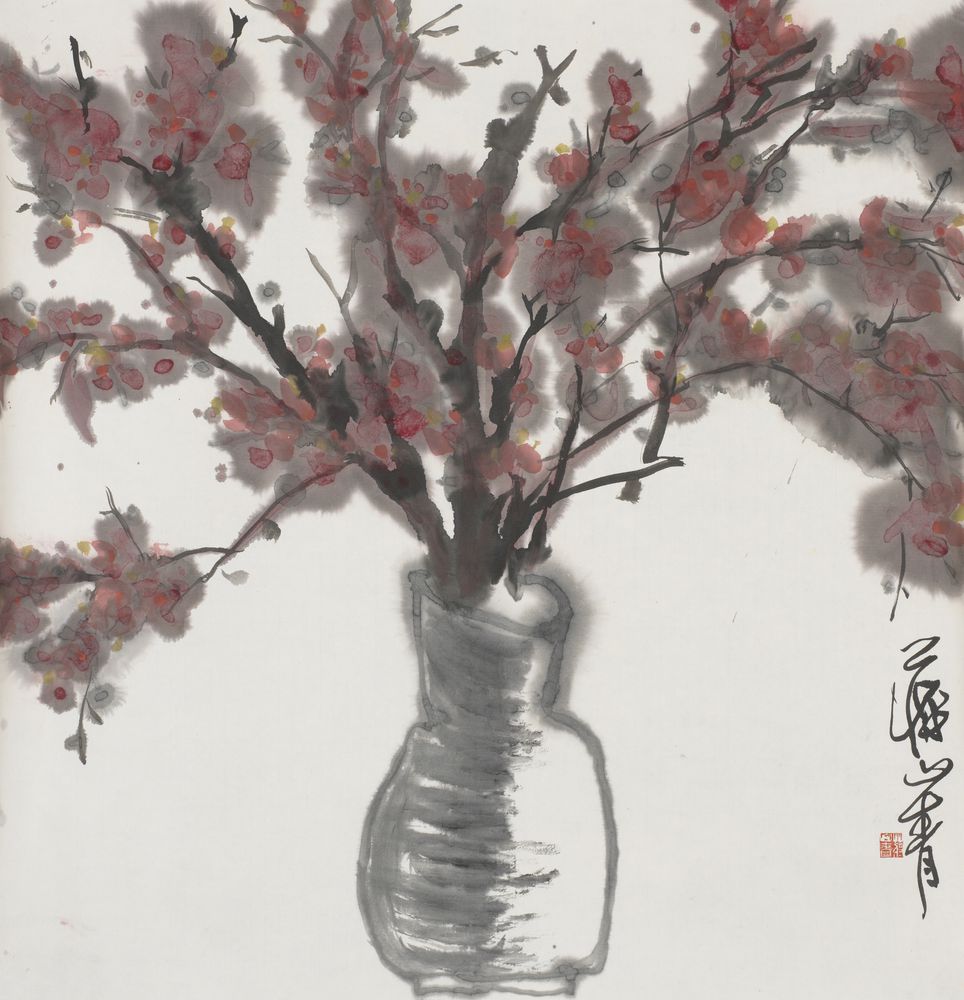 芷蕾