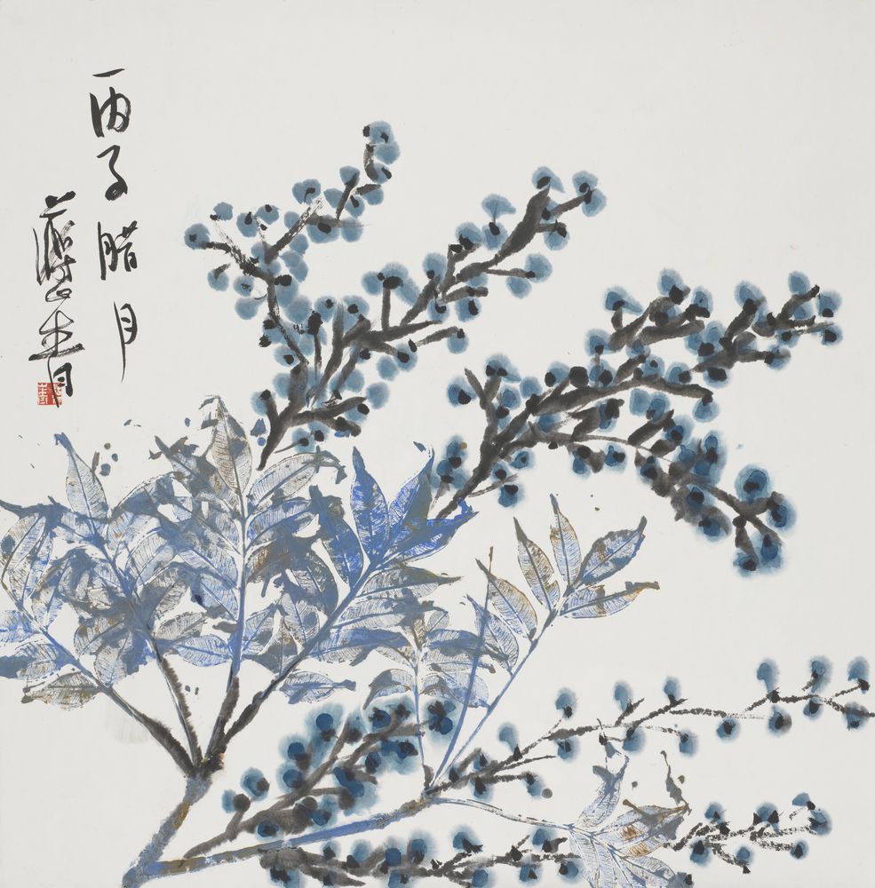 芷巧