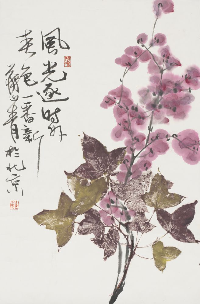 风光逐时好