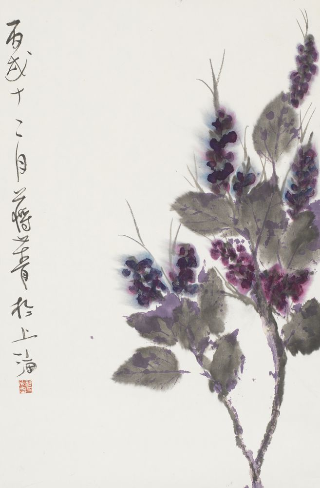 乐菱