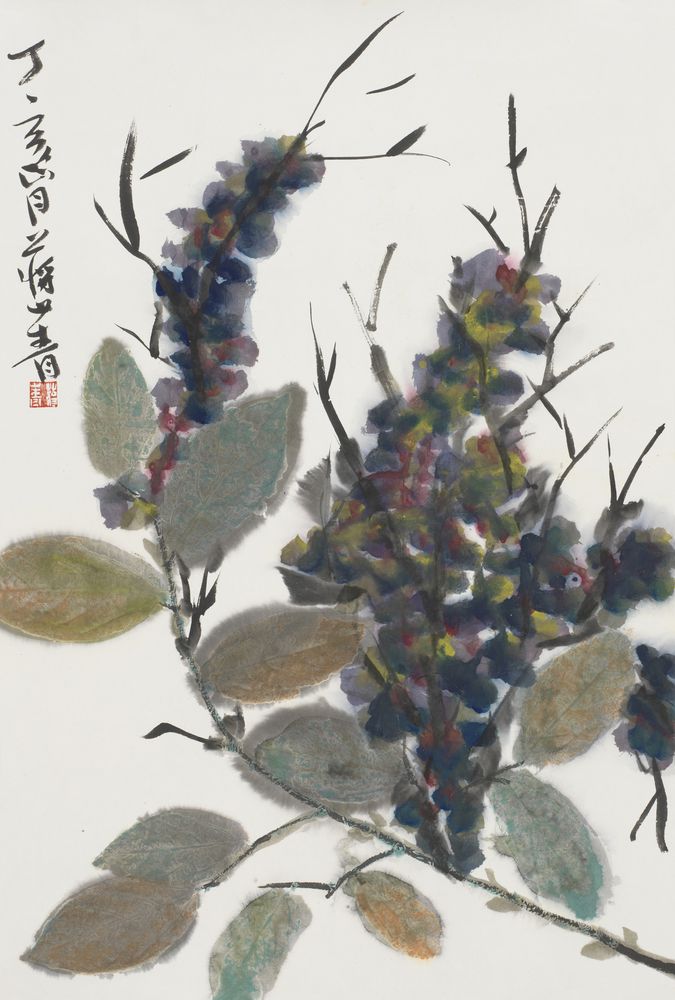碧彤