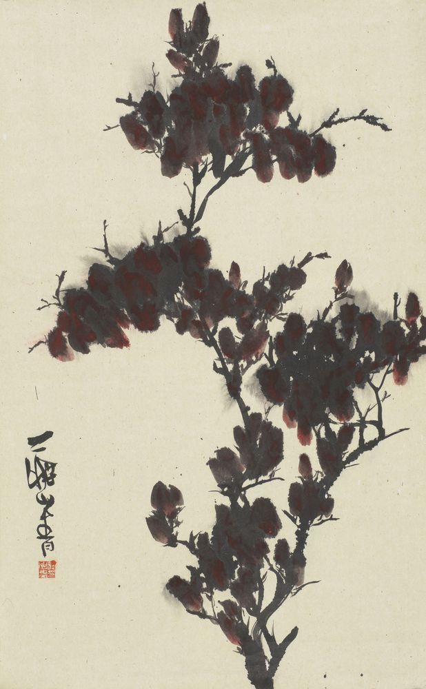 同侪