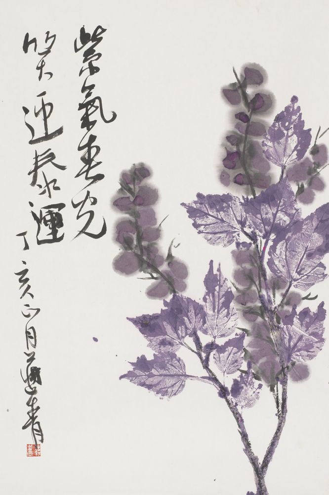 紫气春光笑迎泰运