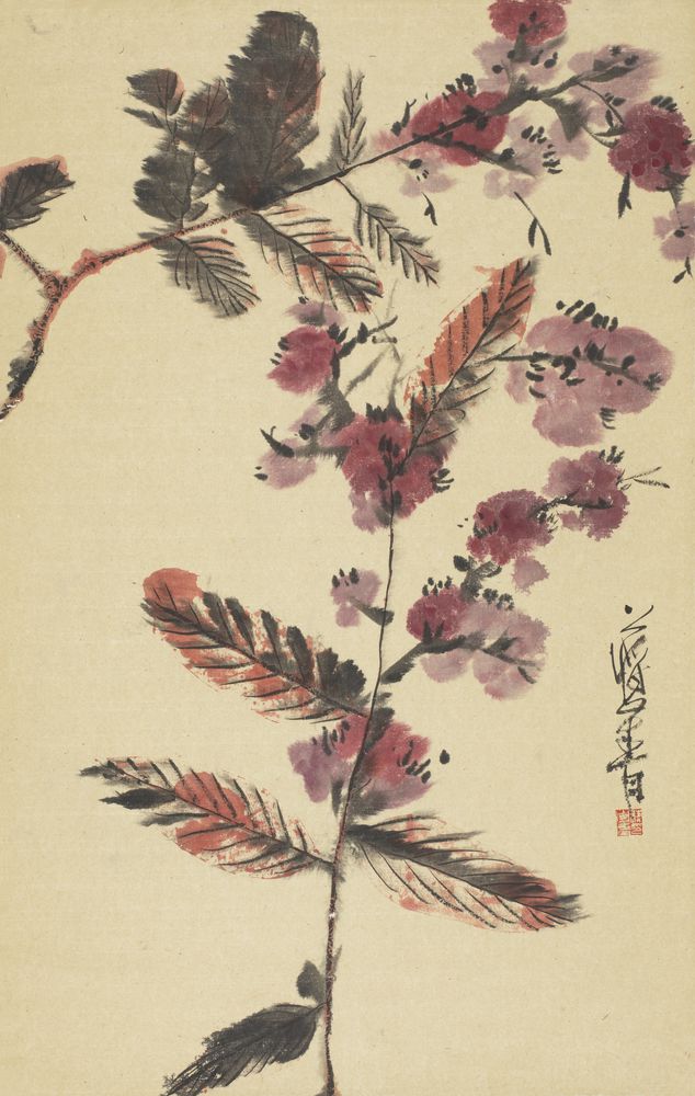花辰月夕