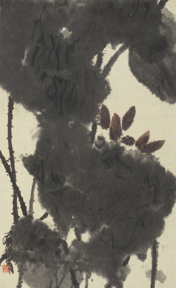 昤昤