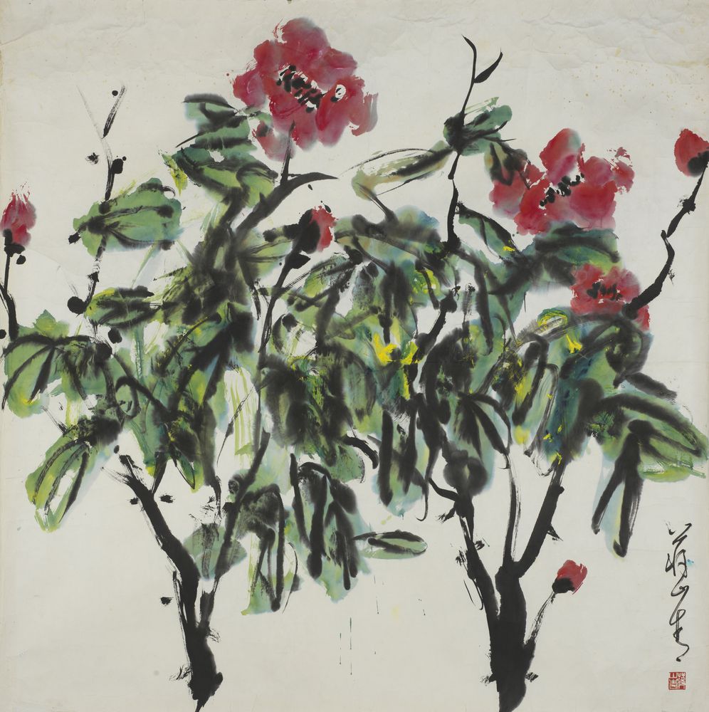 舒萌
