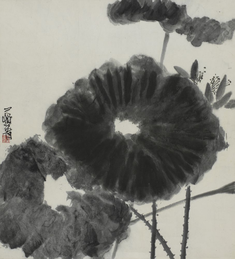 清塘引水下藕根