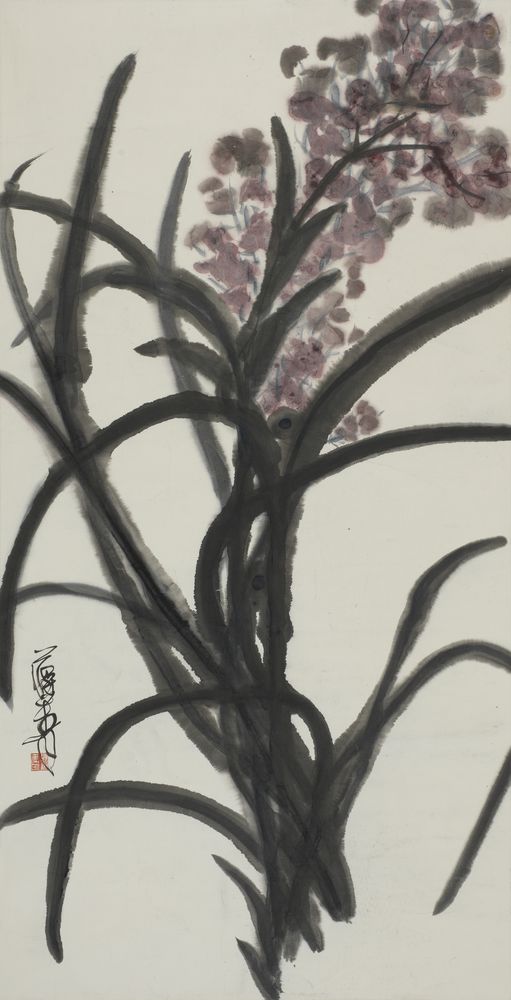 紫曼