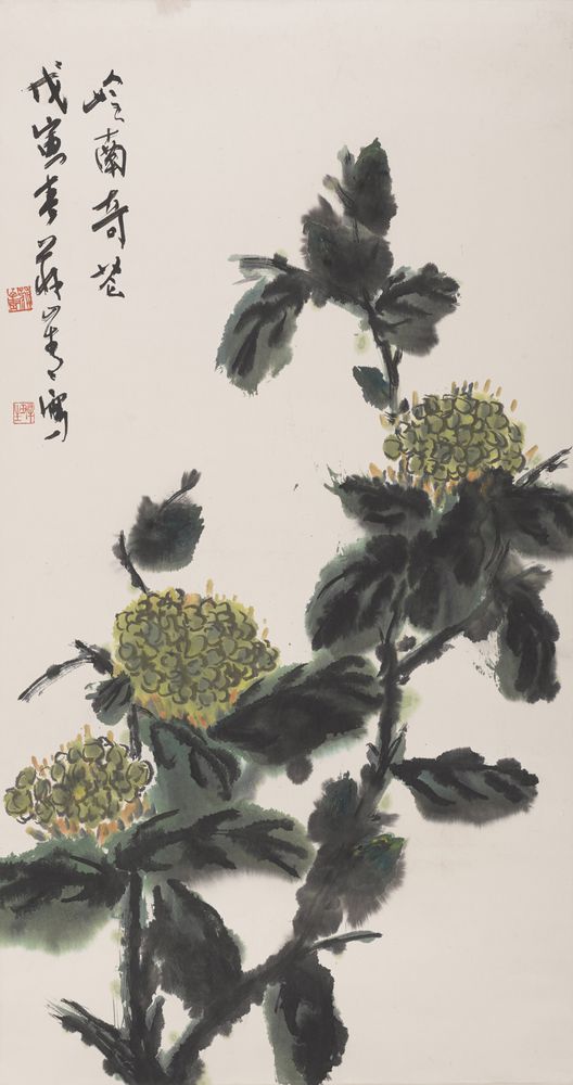 岭南奇花