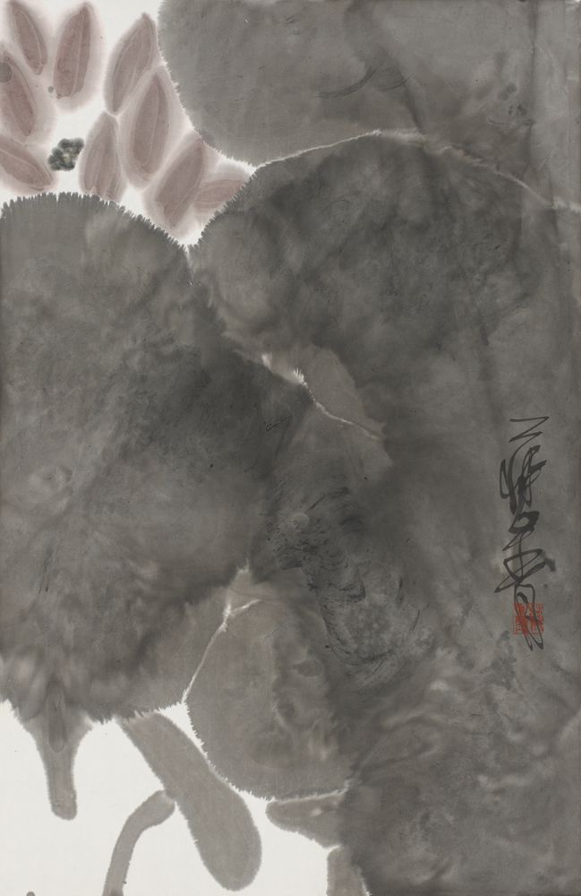 袅娉