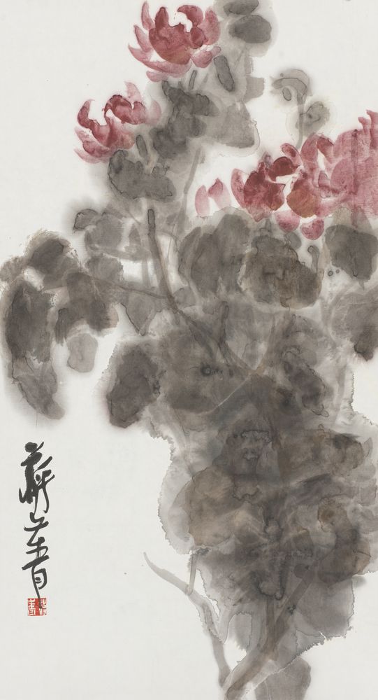 韶华