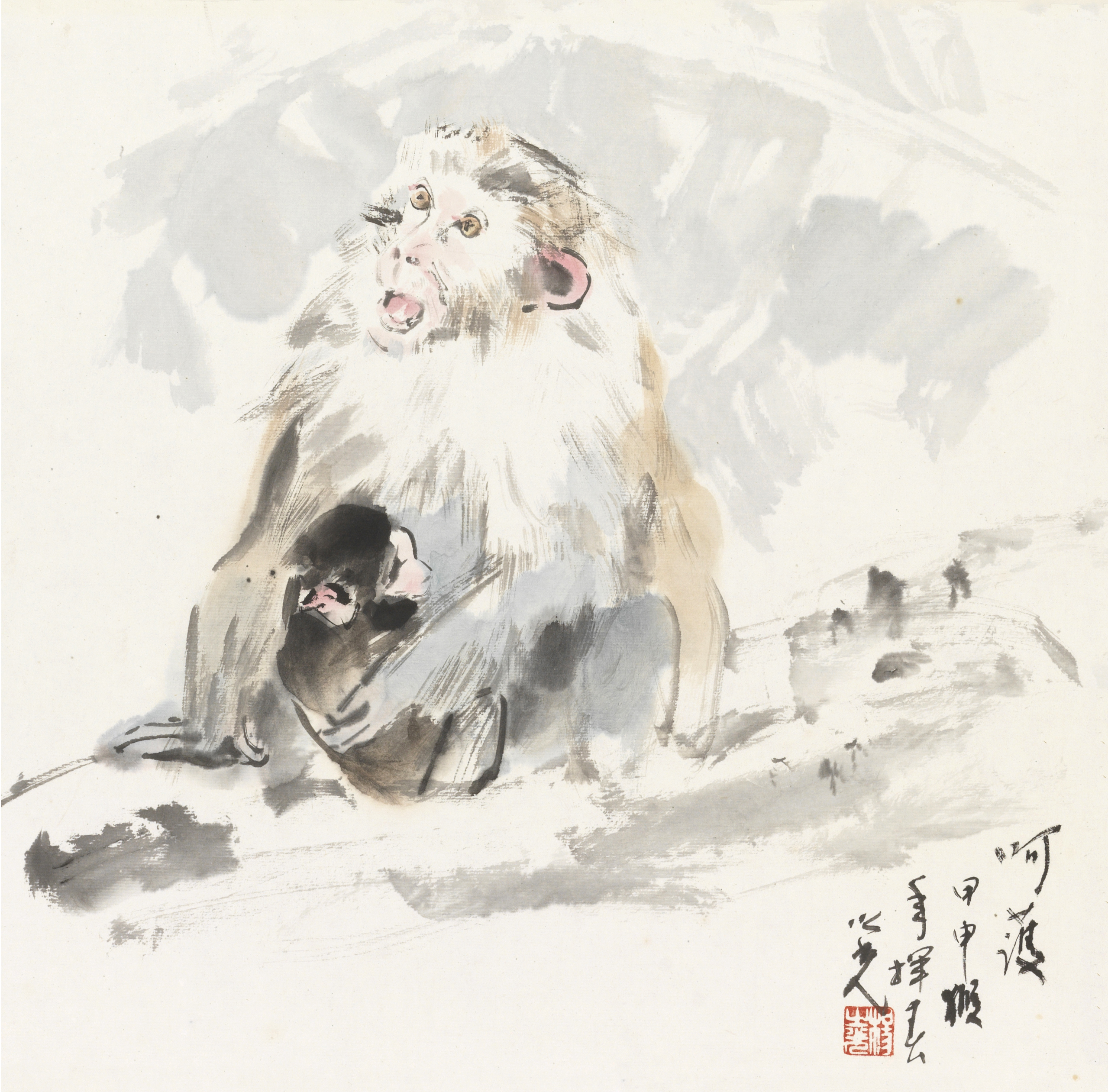呵护