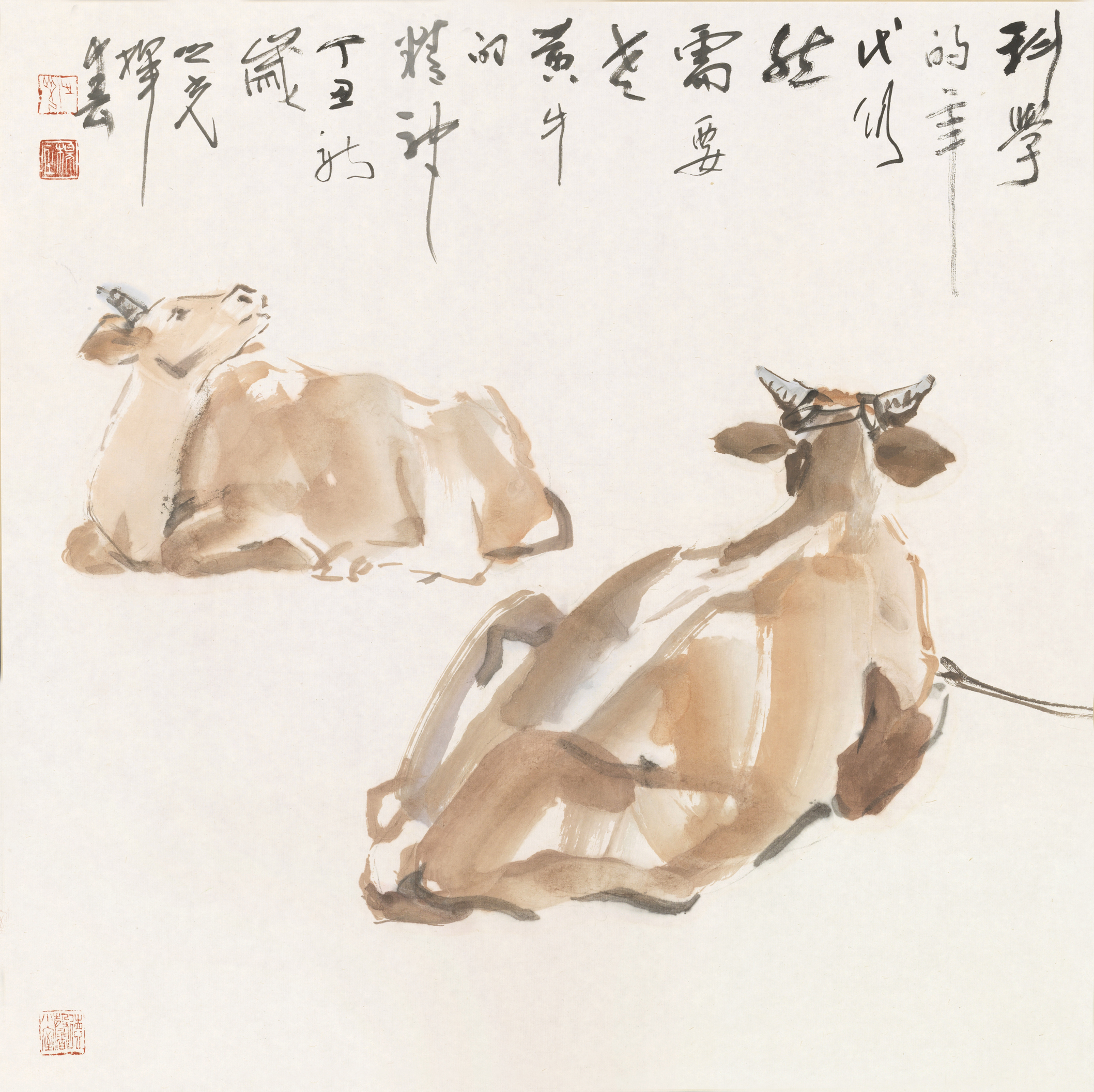 牛