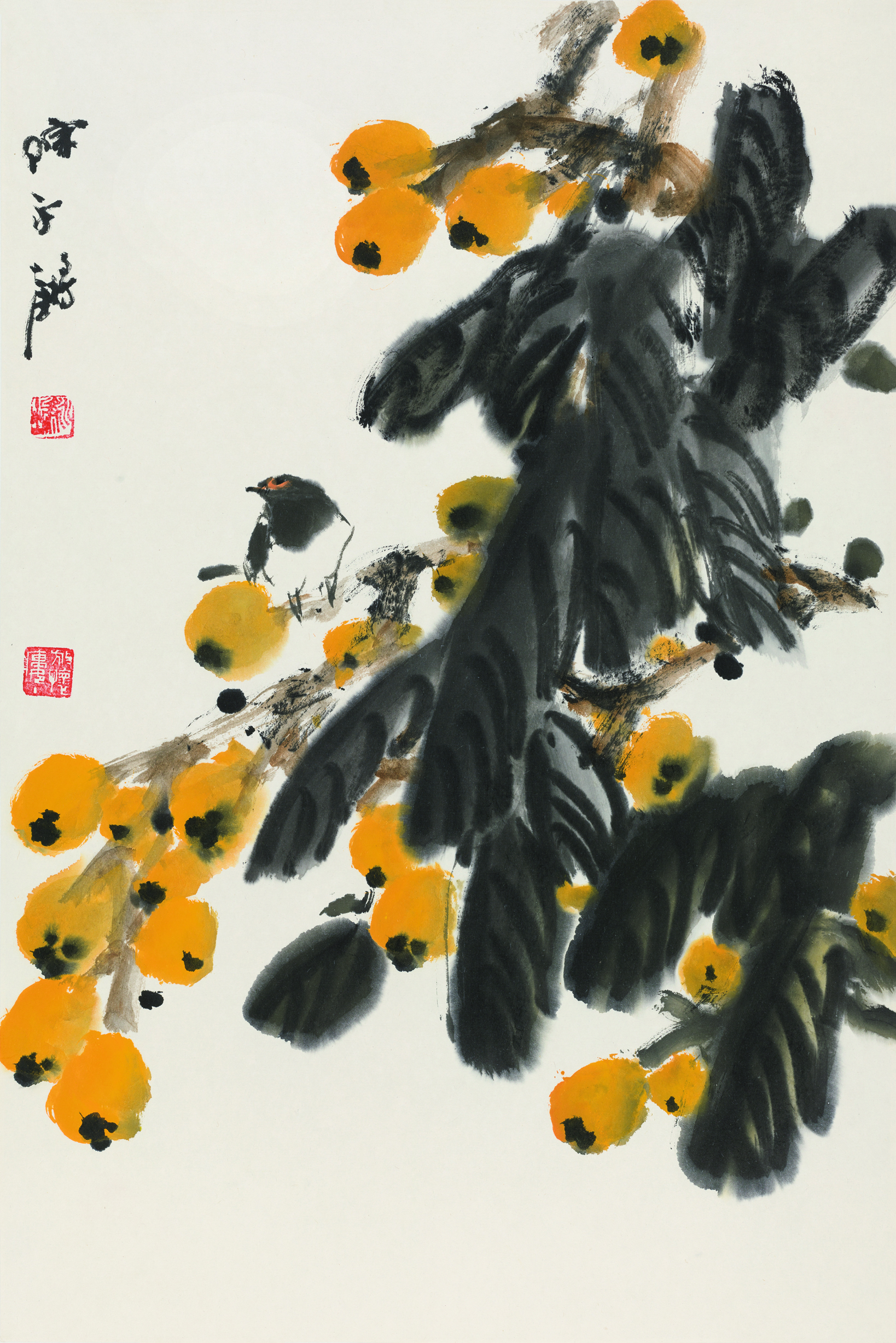 枇杷