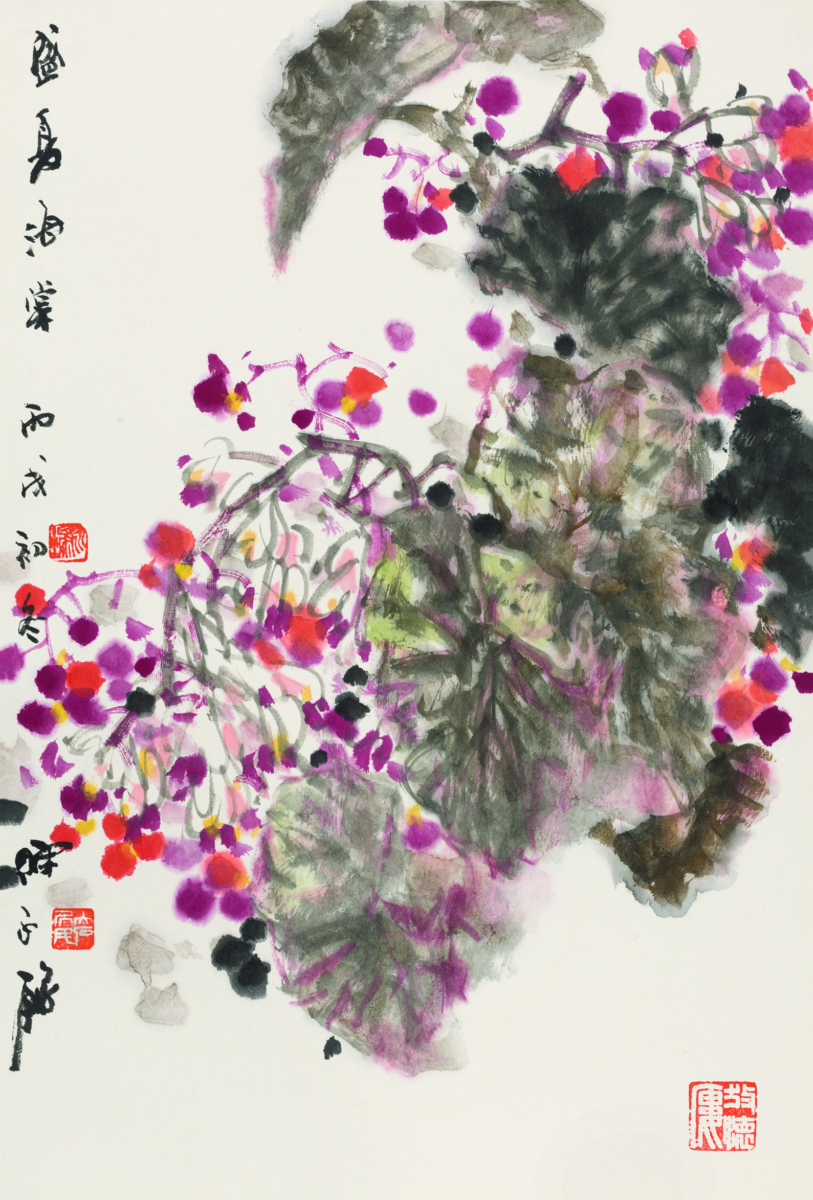 盛夏海棠