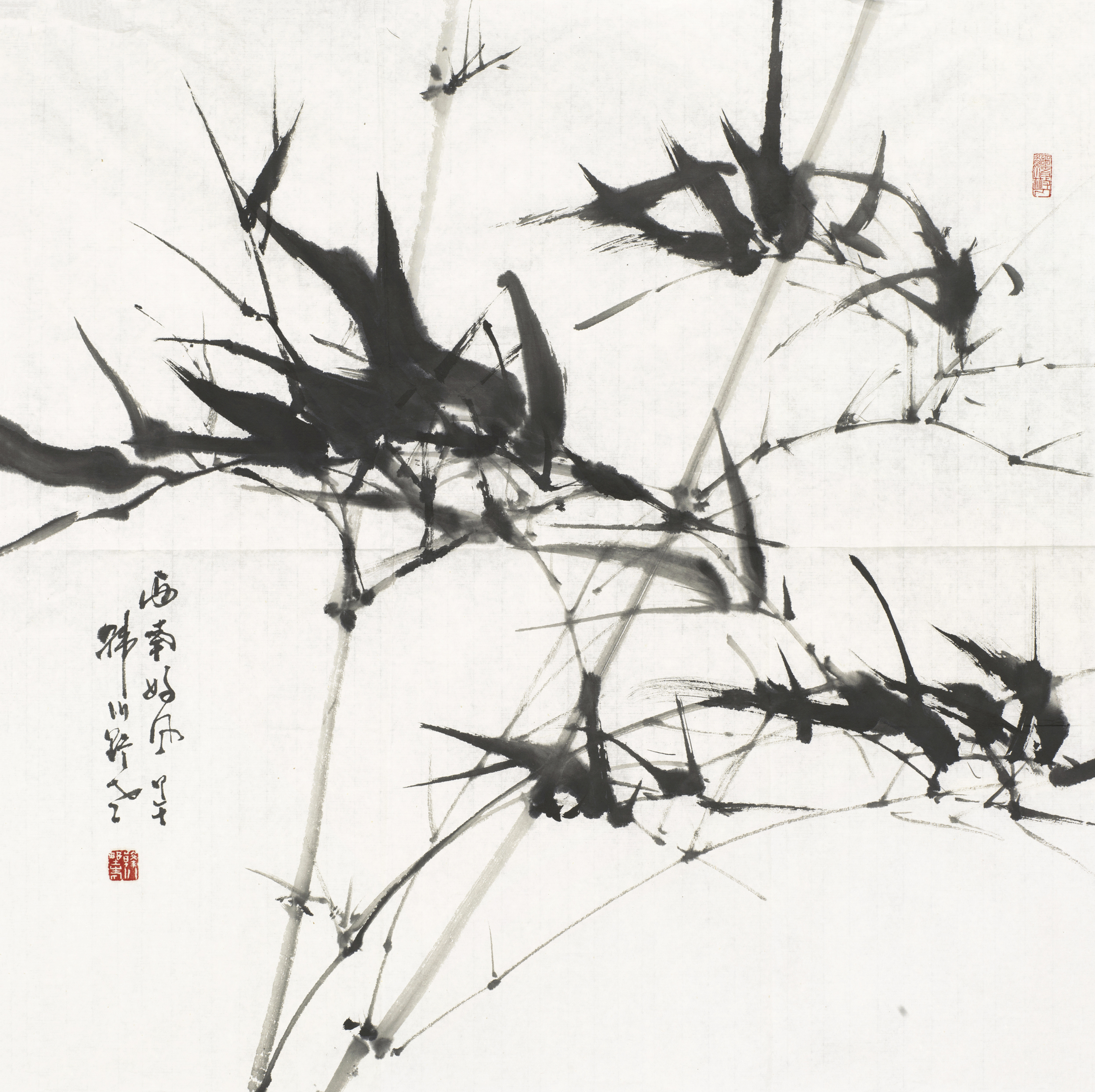 西南好风