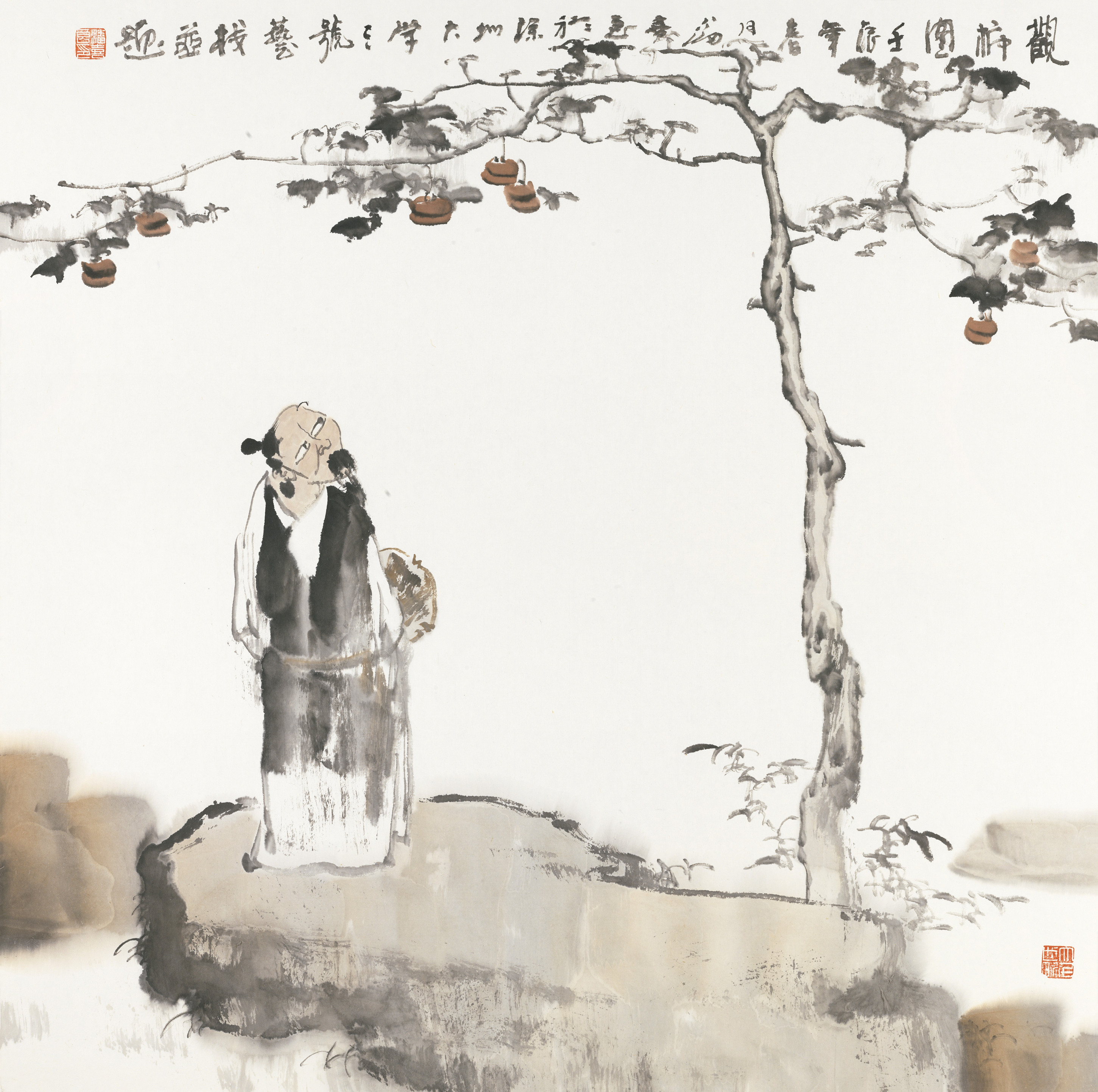 观柿图