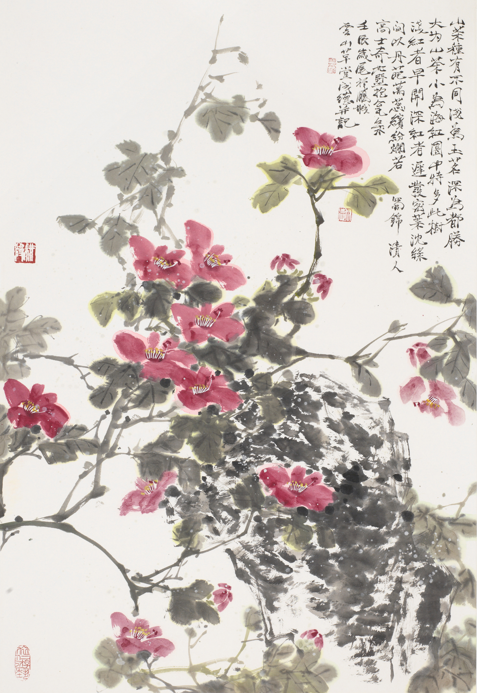 山茶种有不同