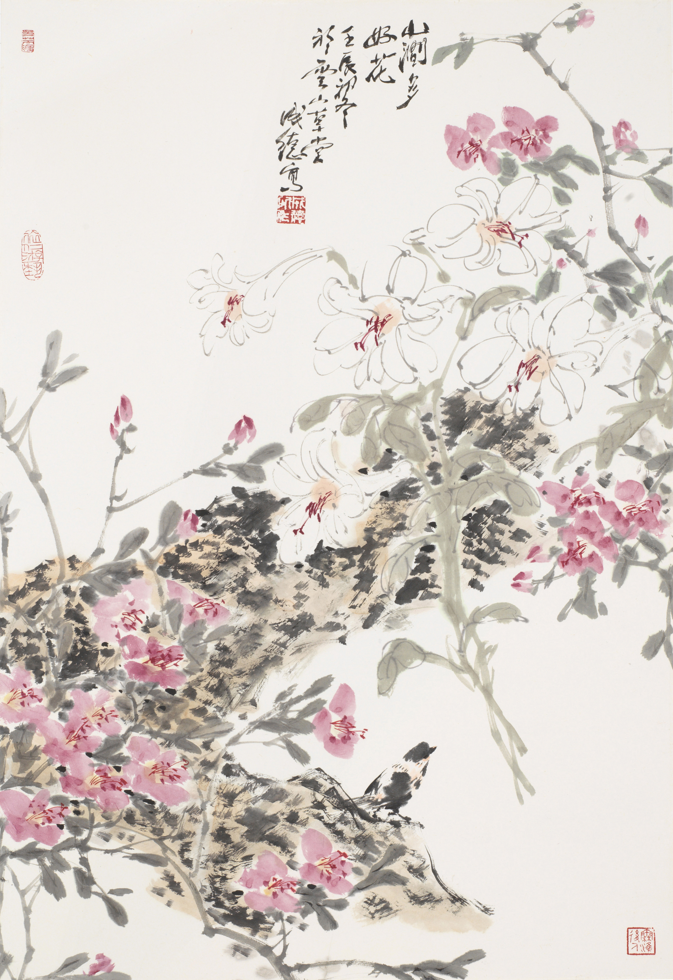 山涧多好花