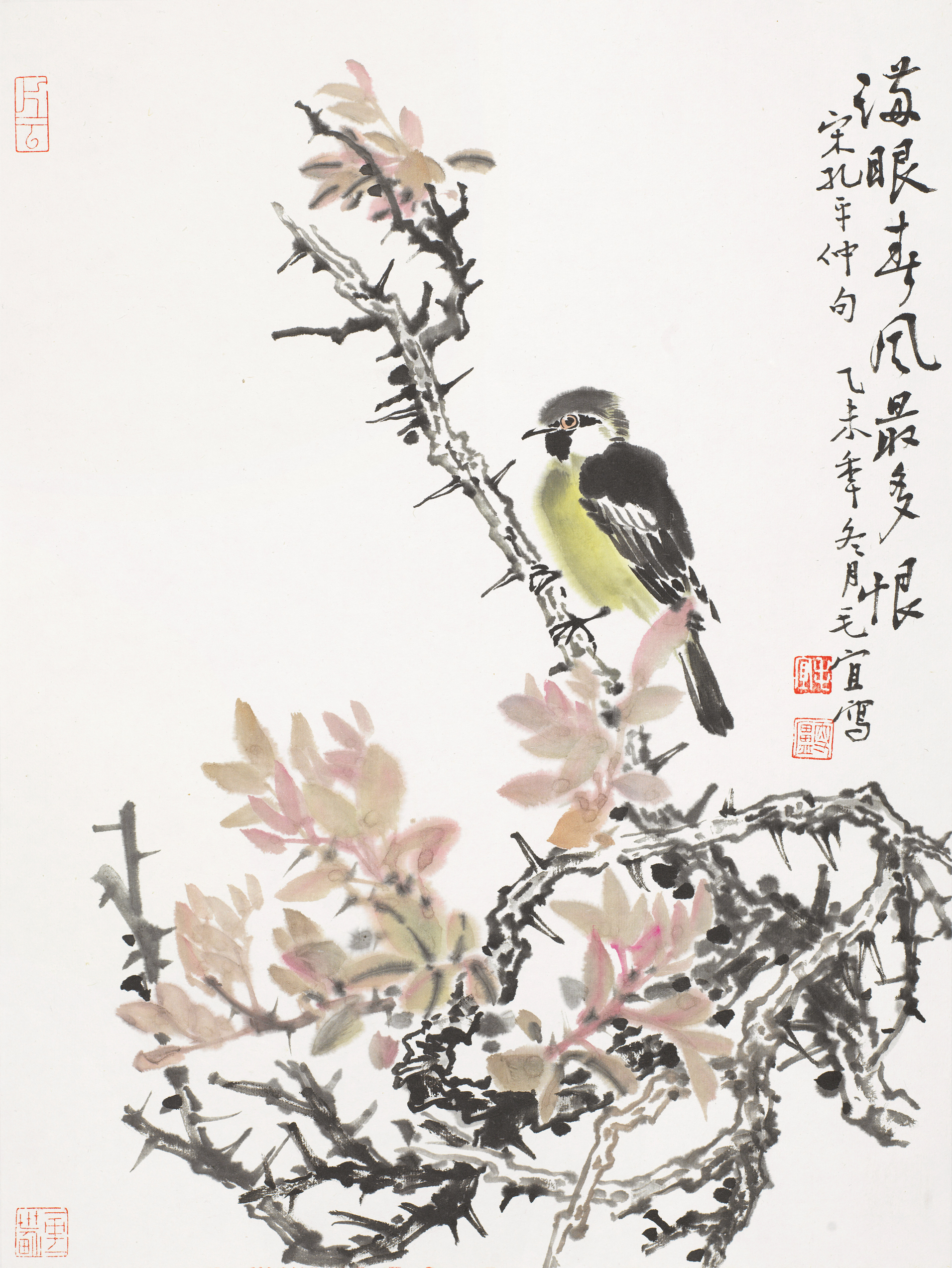 花鸟小品
