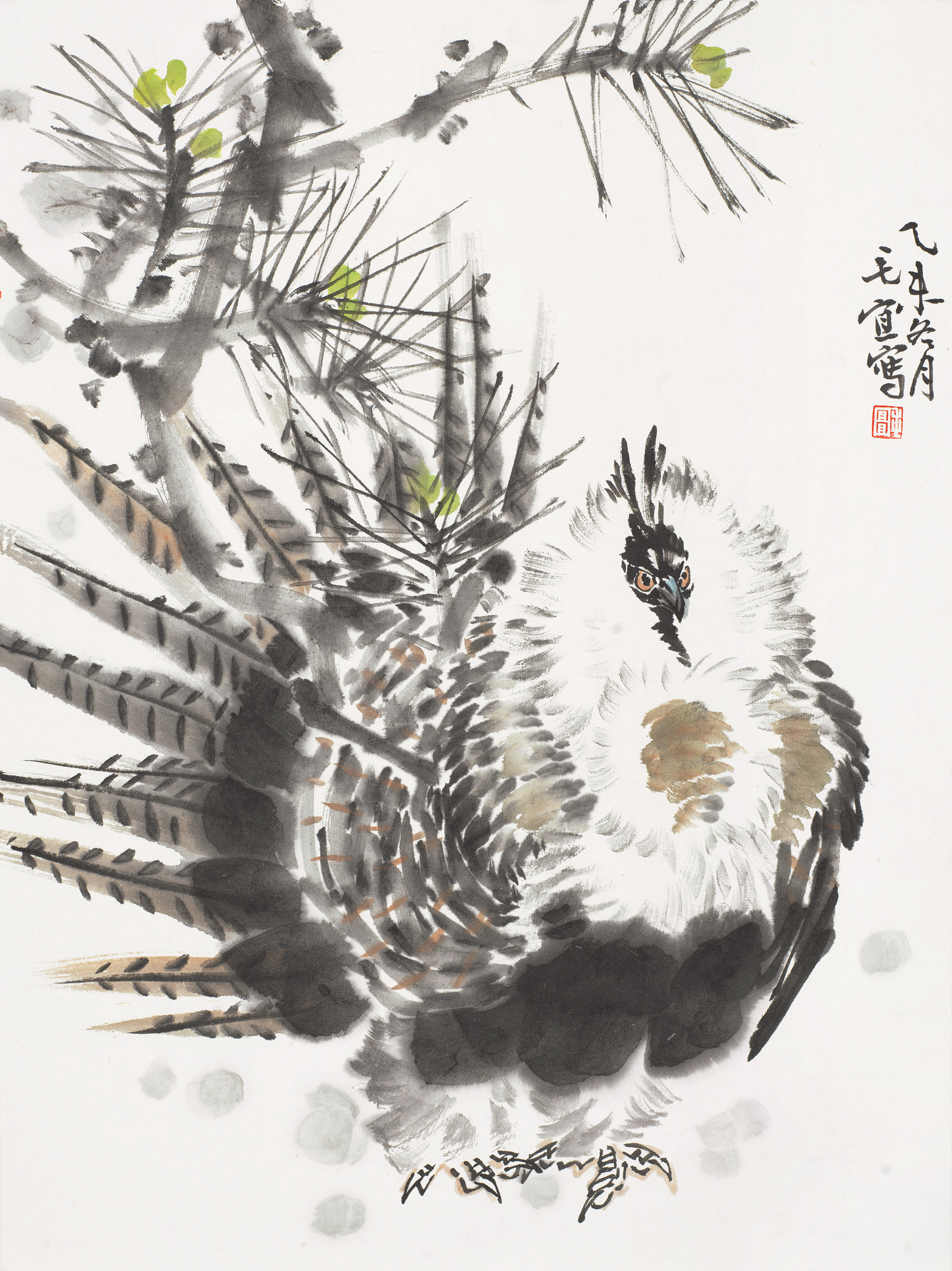 花鸟小品