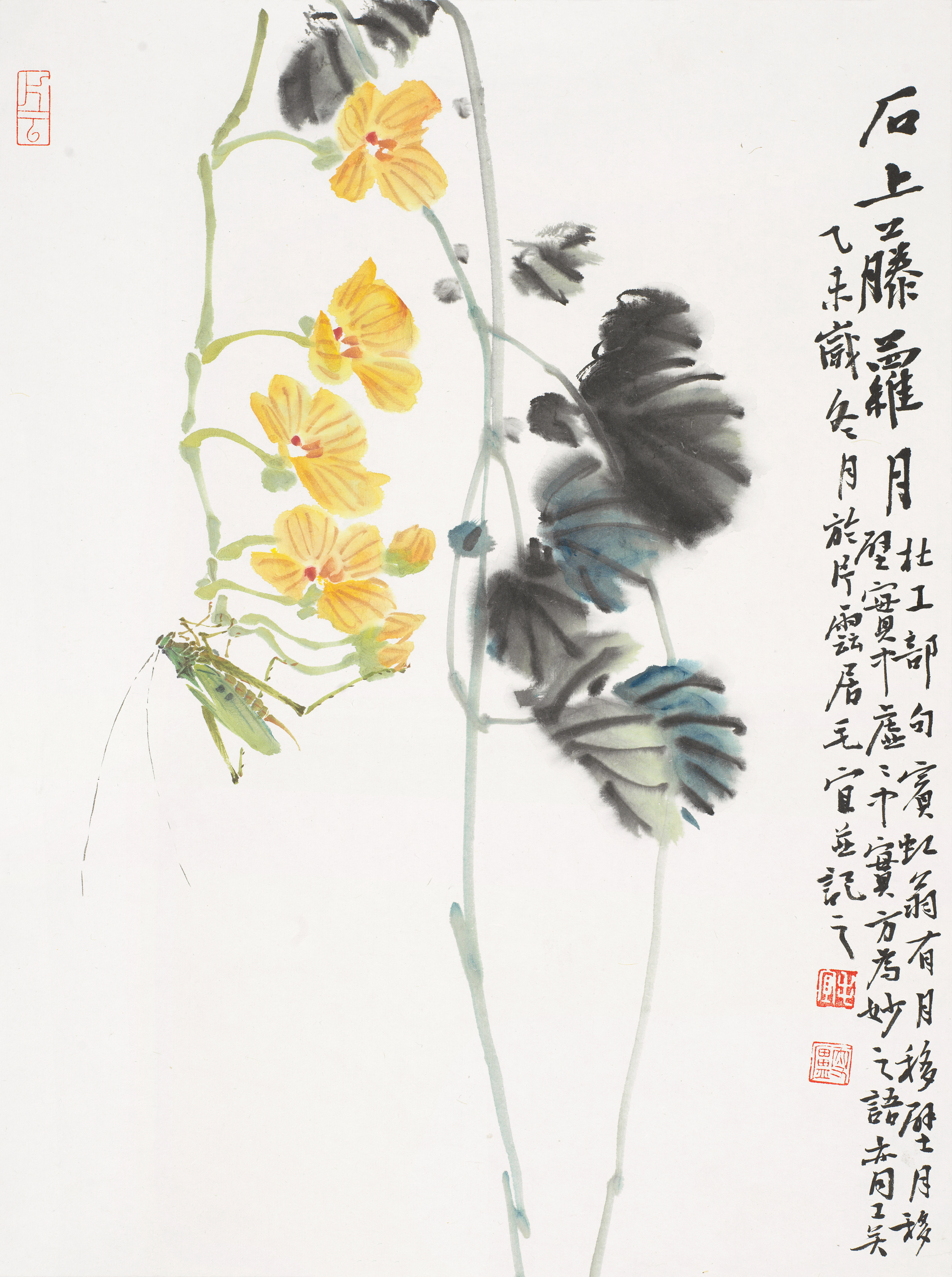 花鸟小品