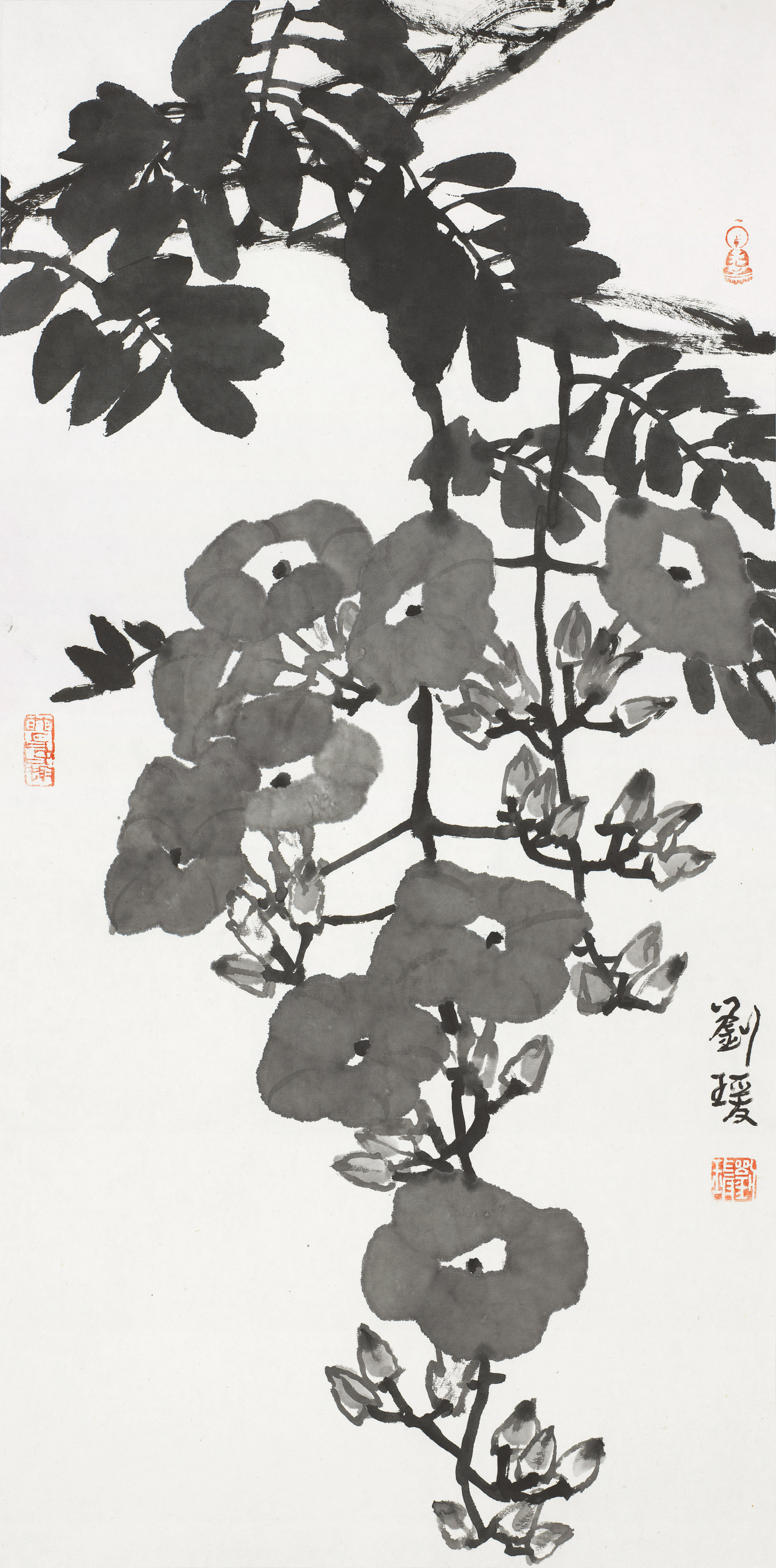 花卉小品