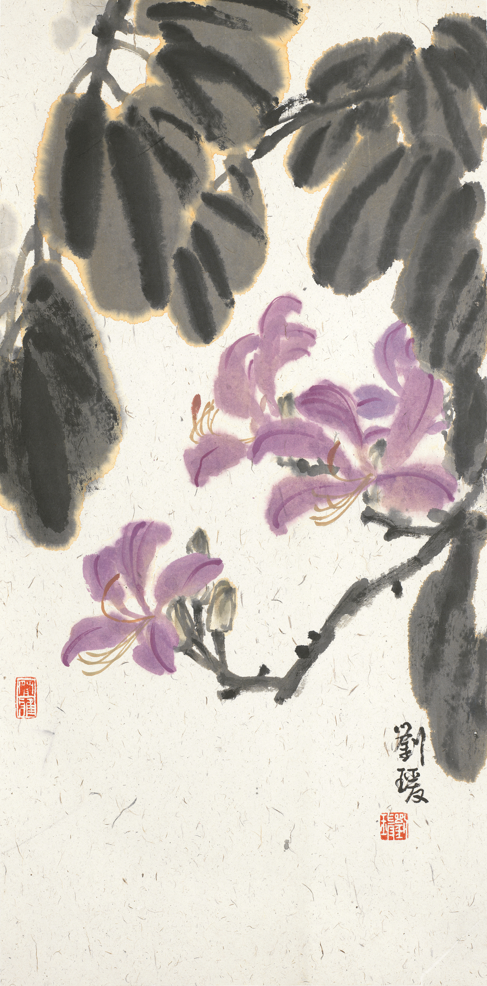花卉小品