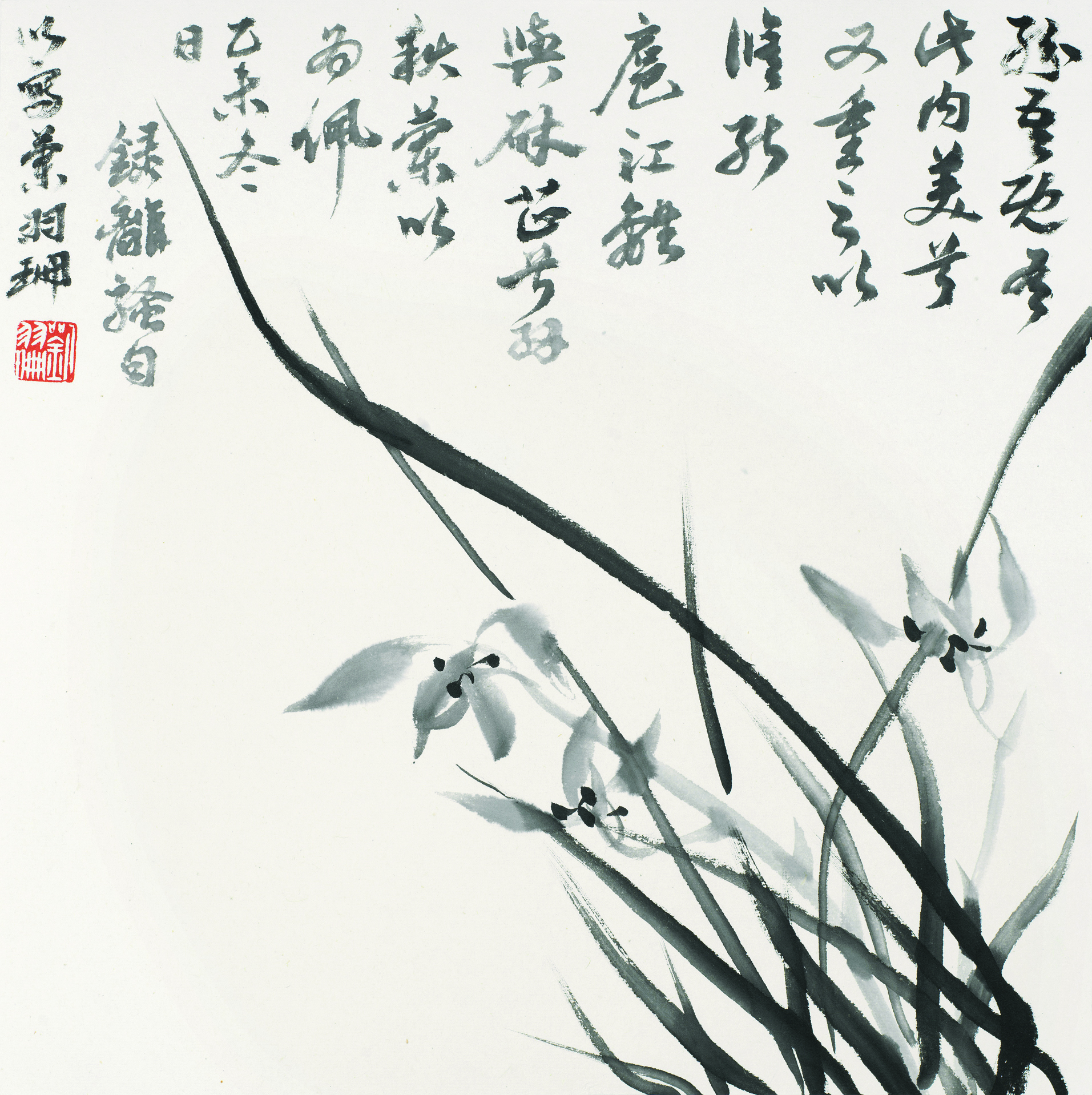 花卉小品